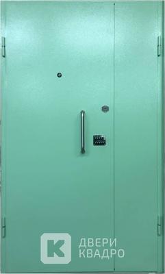 Дверь тамбурная металлическая с вызывной панелью ТДМ-008