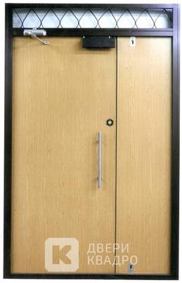 Тамбурная дверь с электромагнитным замком ТДМ-018