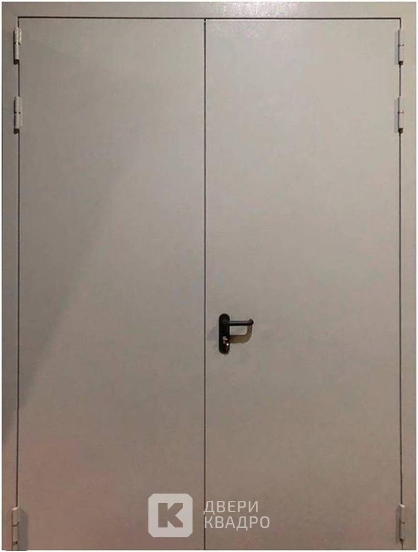 Двупольная дверь противопожарная EI 60 ППМ-015