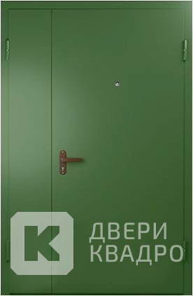 Входная дверь ТДМ-024